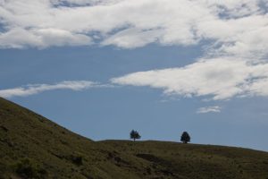 Maupin, OR