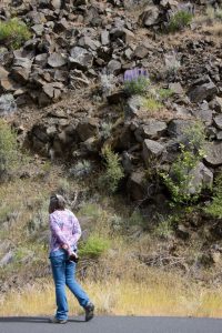 Marion checks out the wildflowers