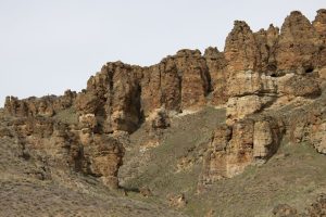 Clarno Fossil Beds