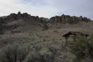 Clarno Fossil Beds