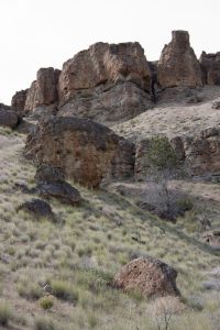 Clarno Fossil Beds