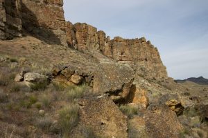 Clarno Fossil Beds