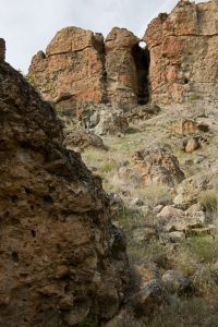 Clarno Fossil Beds