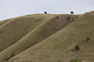 Across from the Clarno Fossil Beds