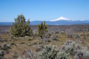 Mount Hood