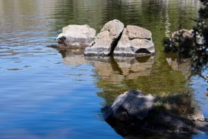 Rock reflections