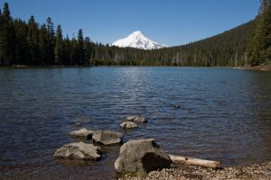 Mount Hood from Frog Lake