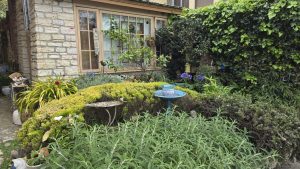 Carmel garden