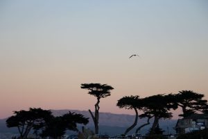 Sunset in Asilomar