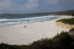 Carmel Beach