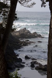 Carmel Beach
