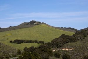 Carmel Valley