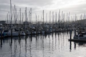 Monterey Harbor