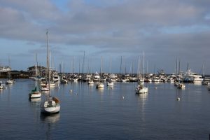 Monterey Harbor