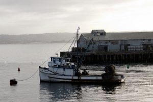 Monterey Harbor