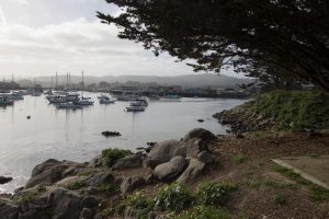 Fishermen's wharf