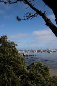 Monterey Harbor