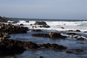 Asilomar