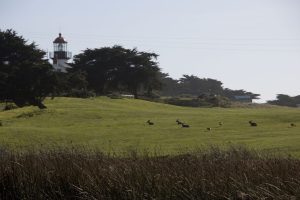 Lighthouse