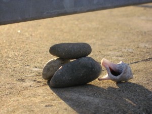 img_1781