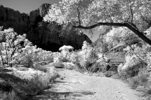 Zion National Park