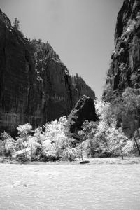 Zion National Park