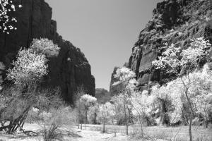 Zion National Park